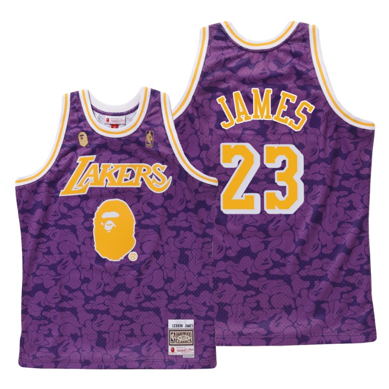Men's Los Angeles Lakers LeBron James #23 NBA BAPE X Mitchell Hardwood Classics Purple Basketball Jersey MRU7583IS